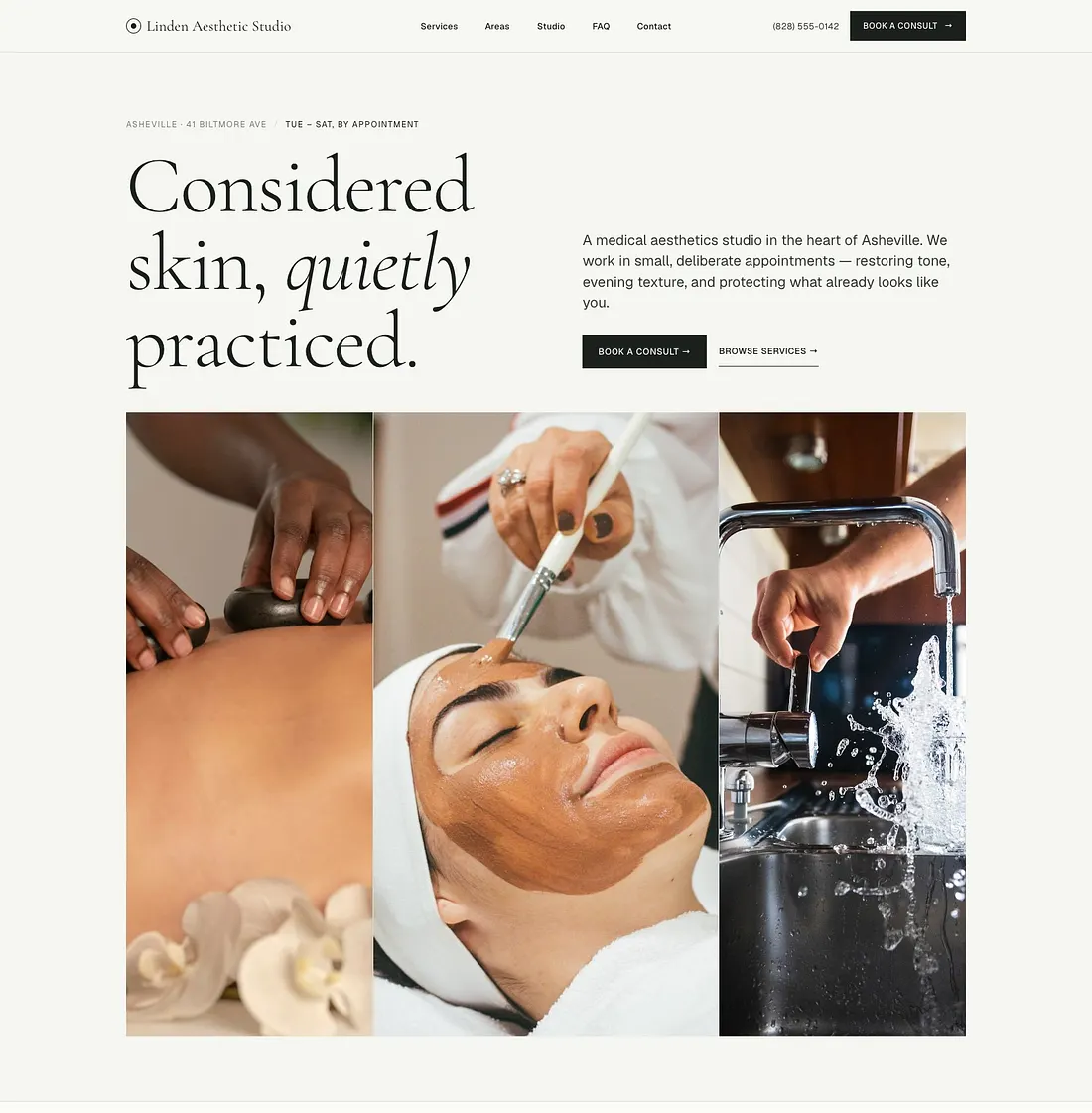 Linden Aesthetic Studio (Editorial Sage) template preview