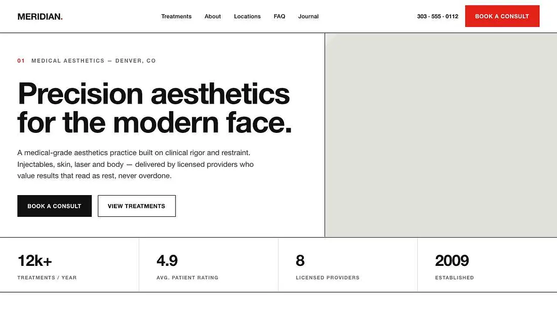 Meridian (Swiss Modernist) template preview